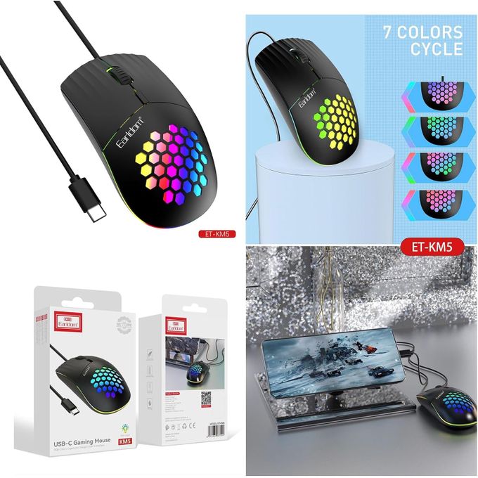 HAVIC SOURIS type C