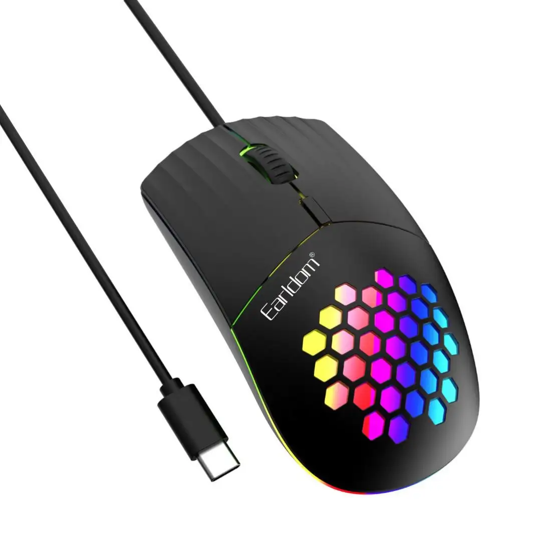 HAVIC SOURIS type C