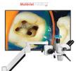 stores/184f3d33c3855314e415e1321e151148/products/YYxcRlVV4Y5FBC810TcuBBMJUf3AA74kKBqNZlcF.jpg