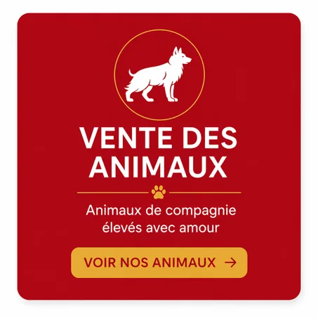 Vente des Animaux