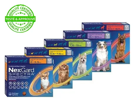 NexGard Comprimés à Croquer pour Chien – Protection contre les Puces et les Tiques