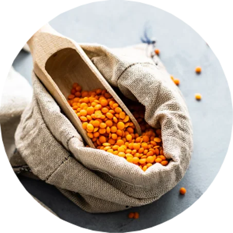 Alimentation spécifique