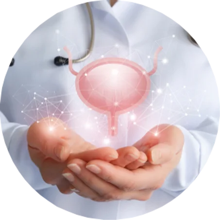 Incontinence | Confort urinaire