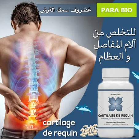 غضروف سمك القرش