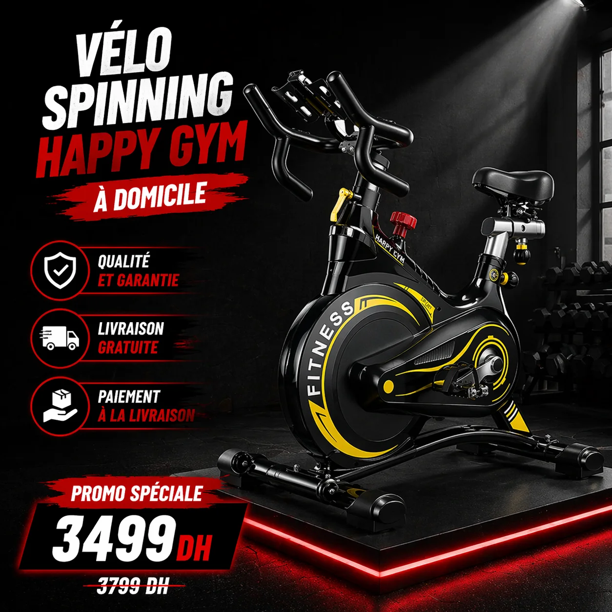 fvélo magnétique professionnel d