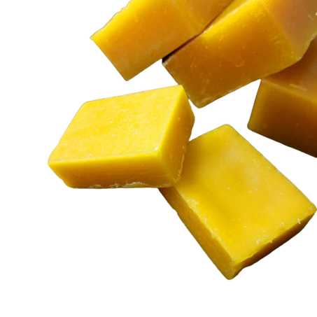 مشتقات الخلية