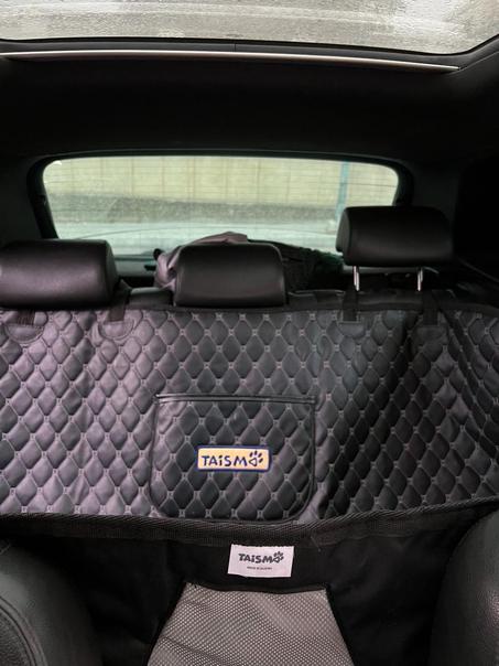 🌟 Housse de Siège Arrière pour Animaux 🐶🐱