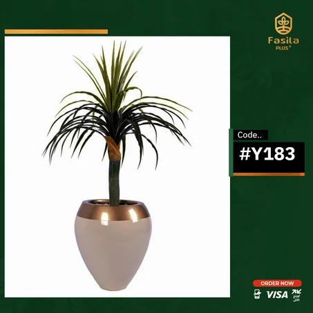 شجرة يوكا كود #Y183