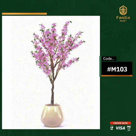 شجرة مشمش - كود المنتج #M103