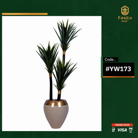 شجرة يوكا طبيعى كود #YW173