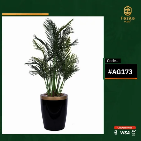 شجرة اريكا جريد كود AG173