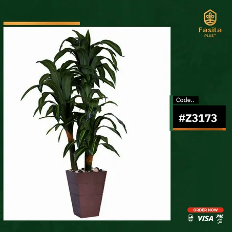 شجرة ذرة ثلاثى كود #Z3173