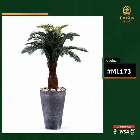 شجرة ملوكى كود #ML173