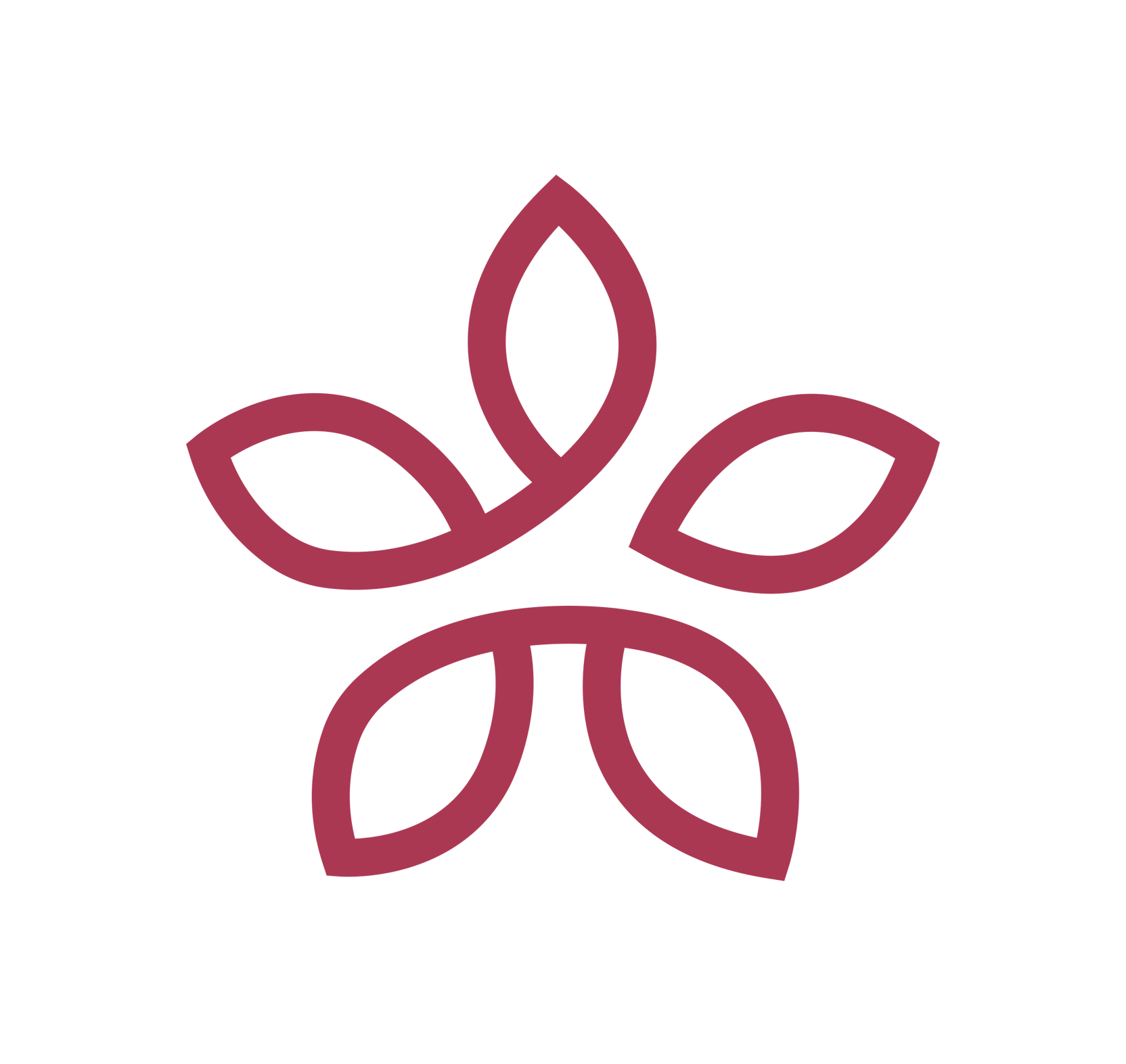 yourosa