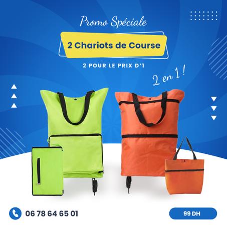 Pack 2 Sacs de Courses Pliables à Roulettes