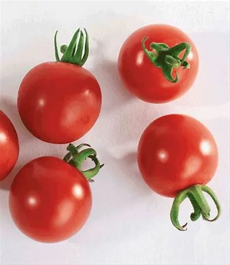 TOMATE CERIASE