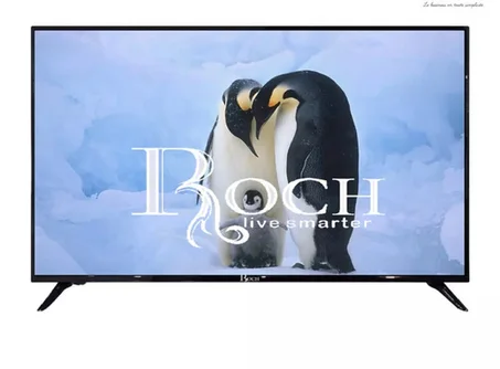 Roch Tv écran 32 smart