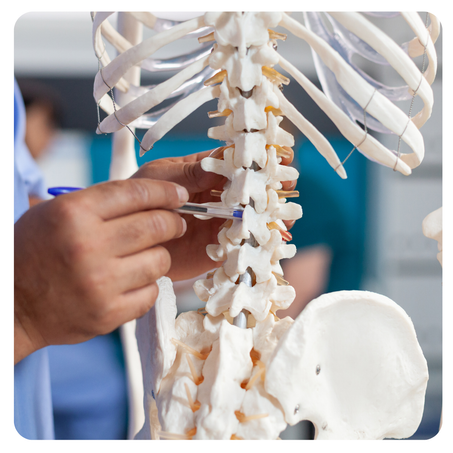 الكيروبراكتيك