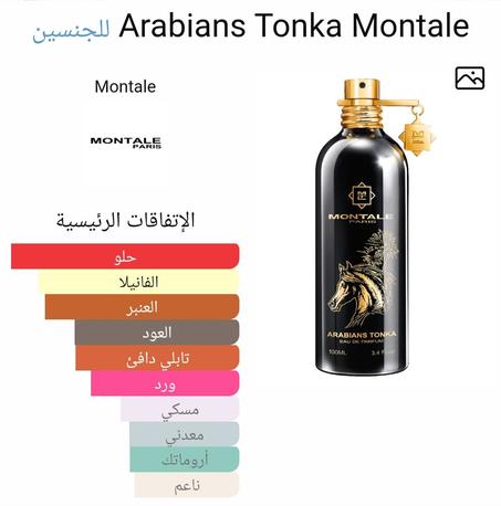ARABIANS TONKA EDP