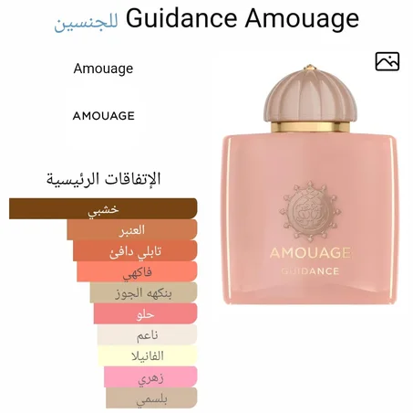 Amouage Guidance EDP