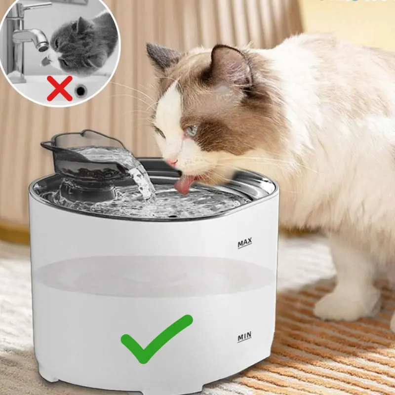 Distributeur d’Eau Silencieux pour Animaux avec Filtration