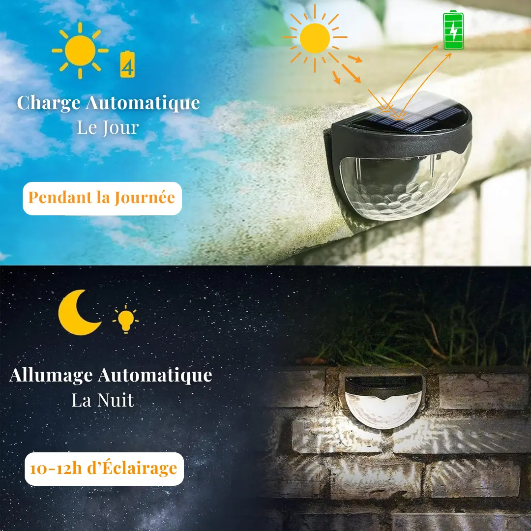 stores/1b218831c82c67e5c9c678de834c9050/products/hzyXLKp80rz8WL2Mn1A6La9jDaSEyNYQluq09coE.webp