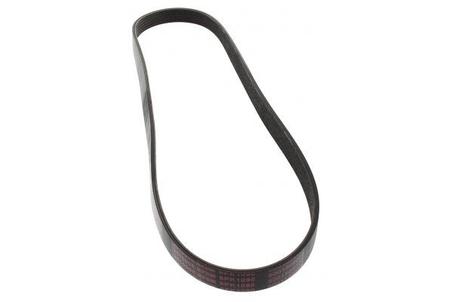 COURROIE STRIEE VOLTEK - 6PK903