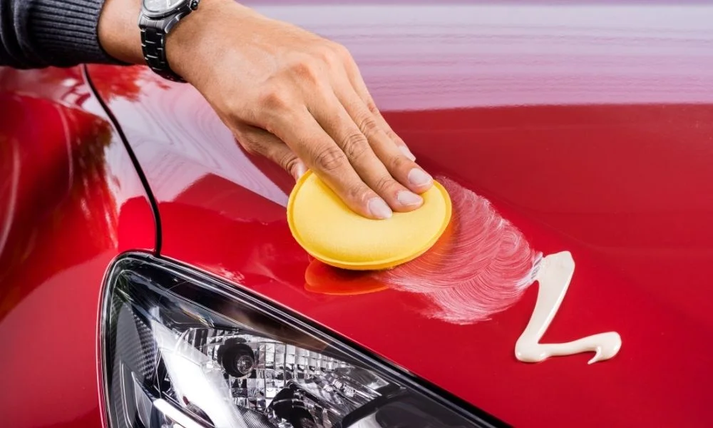 POLISH CAR WAX FLAMINGO