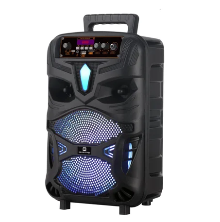 Haut Parleur HIFI JBC-P55