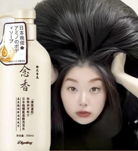 شامبو ساكورا الياباني