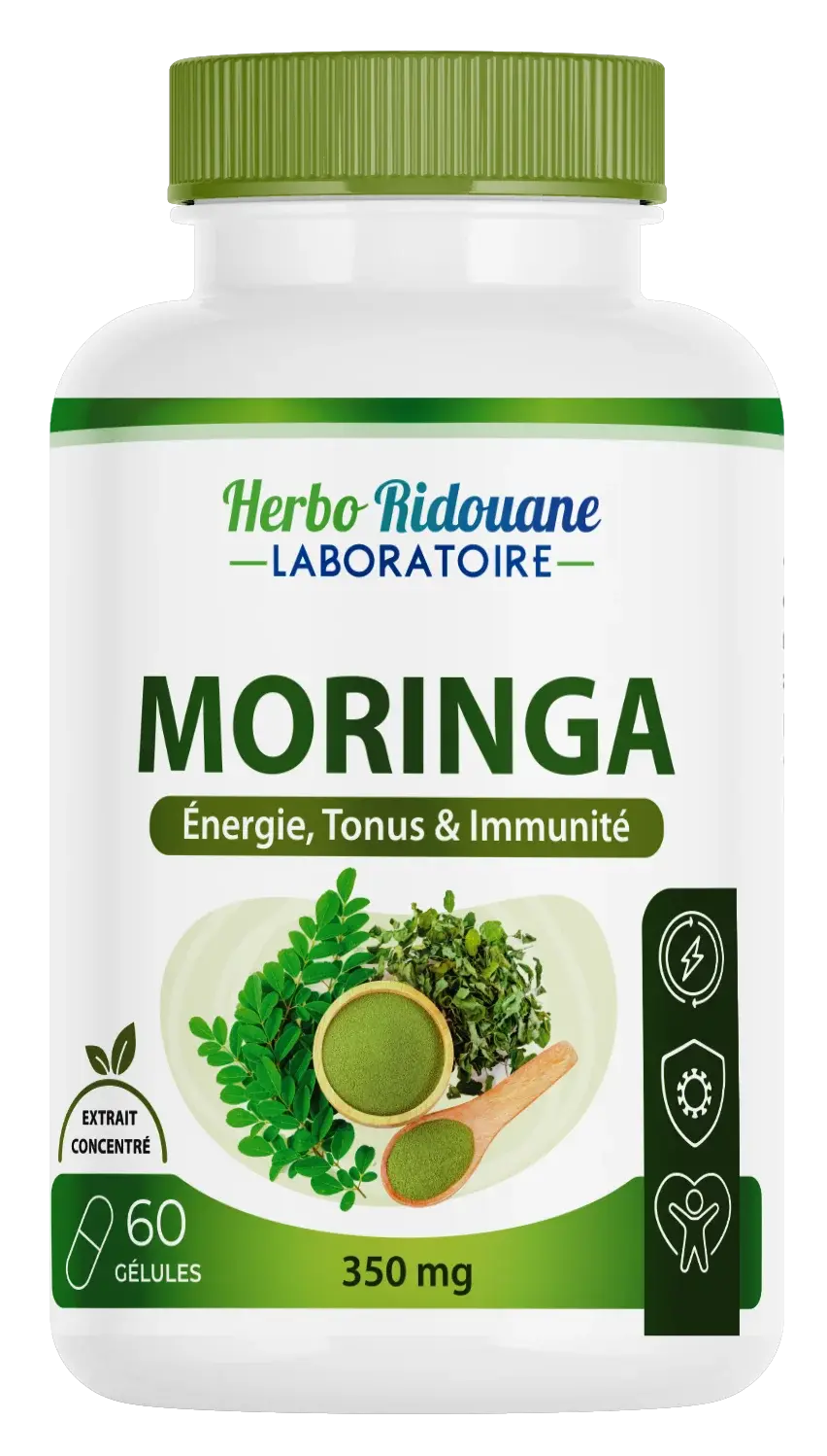 مورينجا (MORINGA) بتركيز 350mg – عبوة 60 كبسولة