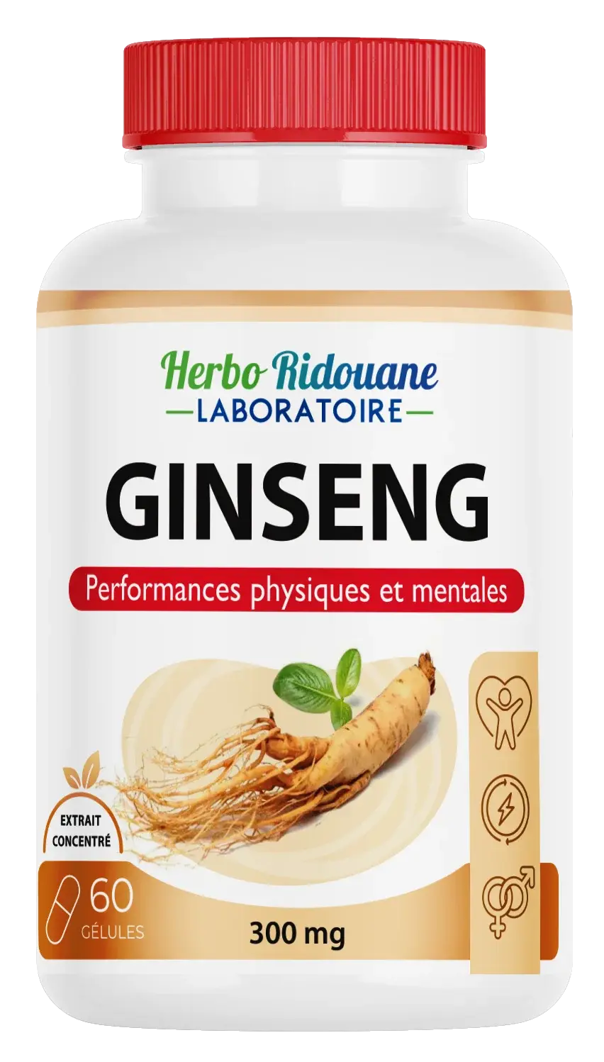 جينسنغ (GINSENG) بتركيز 300mg – عبوة 60 كبسولة