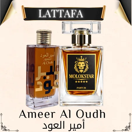 AMEER AL OUDH