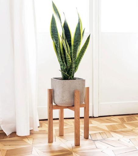 Support pour plante en bois moderne
