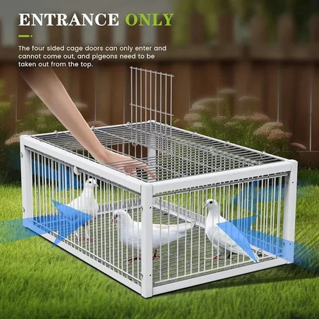 مصيدة الحمام