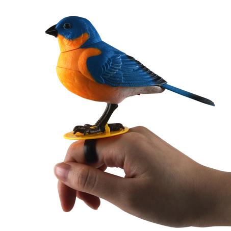 Oiseau Interactif Avec Bracelet Pratique (mali)