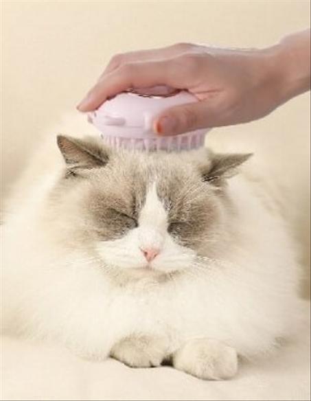 مشط العناية بالقطط