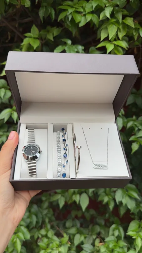 pack montre argent