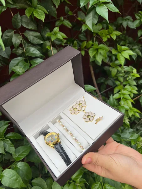 pack montre warda