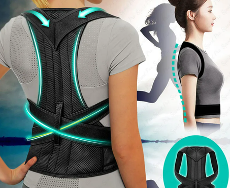 Back support belt