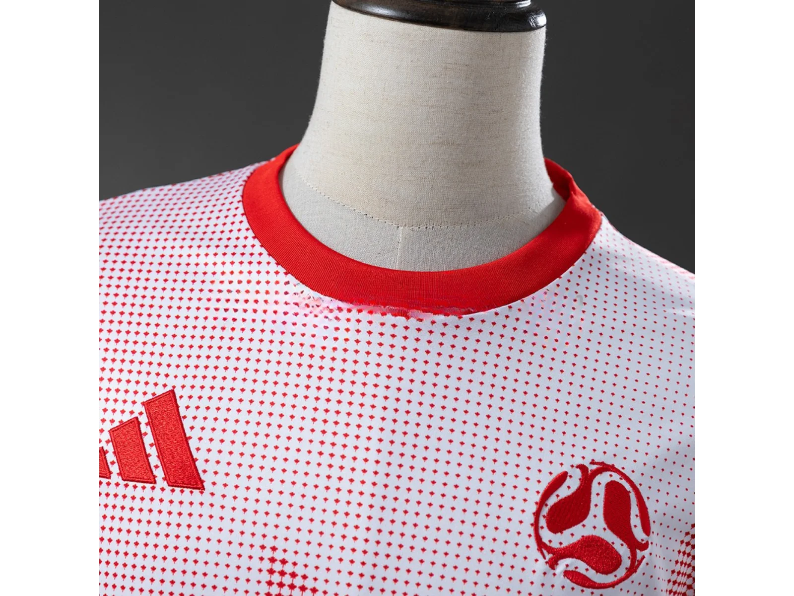 Canada 2026 Promotional Apparel - Pink Jersey Sizes S-4XL