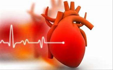 قلب وشرايين