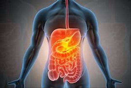 اشترك مع اطباء الجهاز الهضمي وتمتع بخصم 50% بالاضافة الى خدماتنا الاخرى