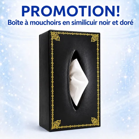 BOÎTE À MOUCHOIRS NOIRE & DORÉE