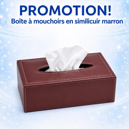 BOÎTE À MOUCHOIRS EN SIMILICUIR MARRON 🔥