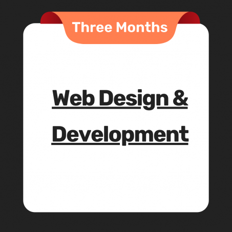 Web Design & Development Consulting For three Months