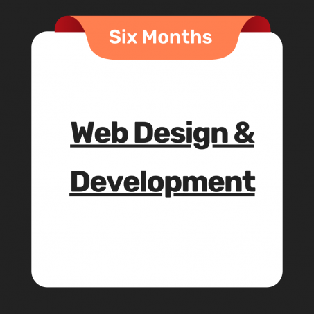 Web Design & Development Consulting For Six Months