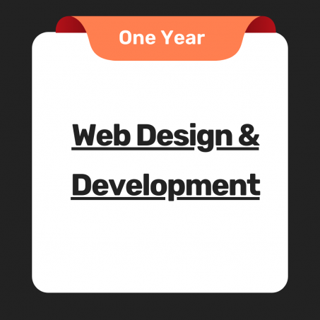 Web Design & Development Consulting For One Year.
