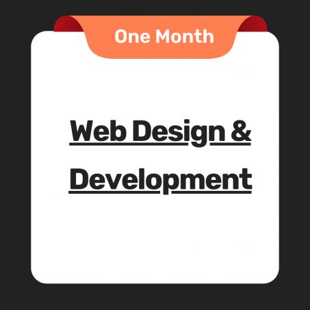 Web Design & Development Consulting For One Month