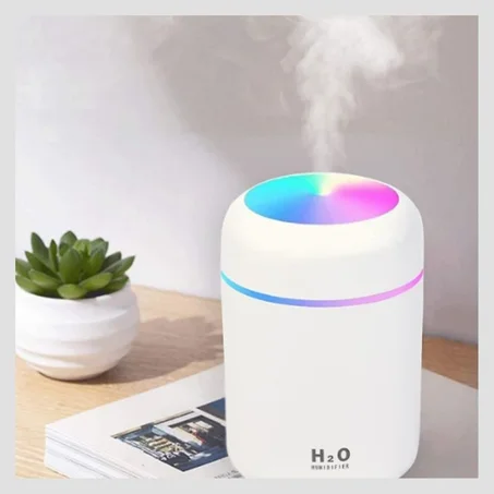 H2o-Mini humidificateur